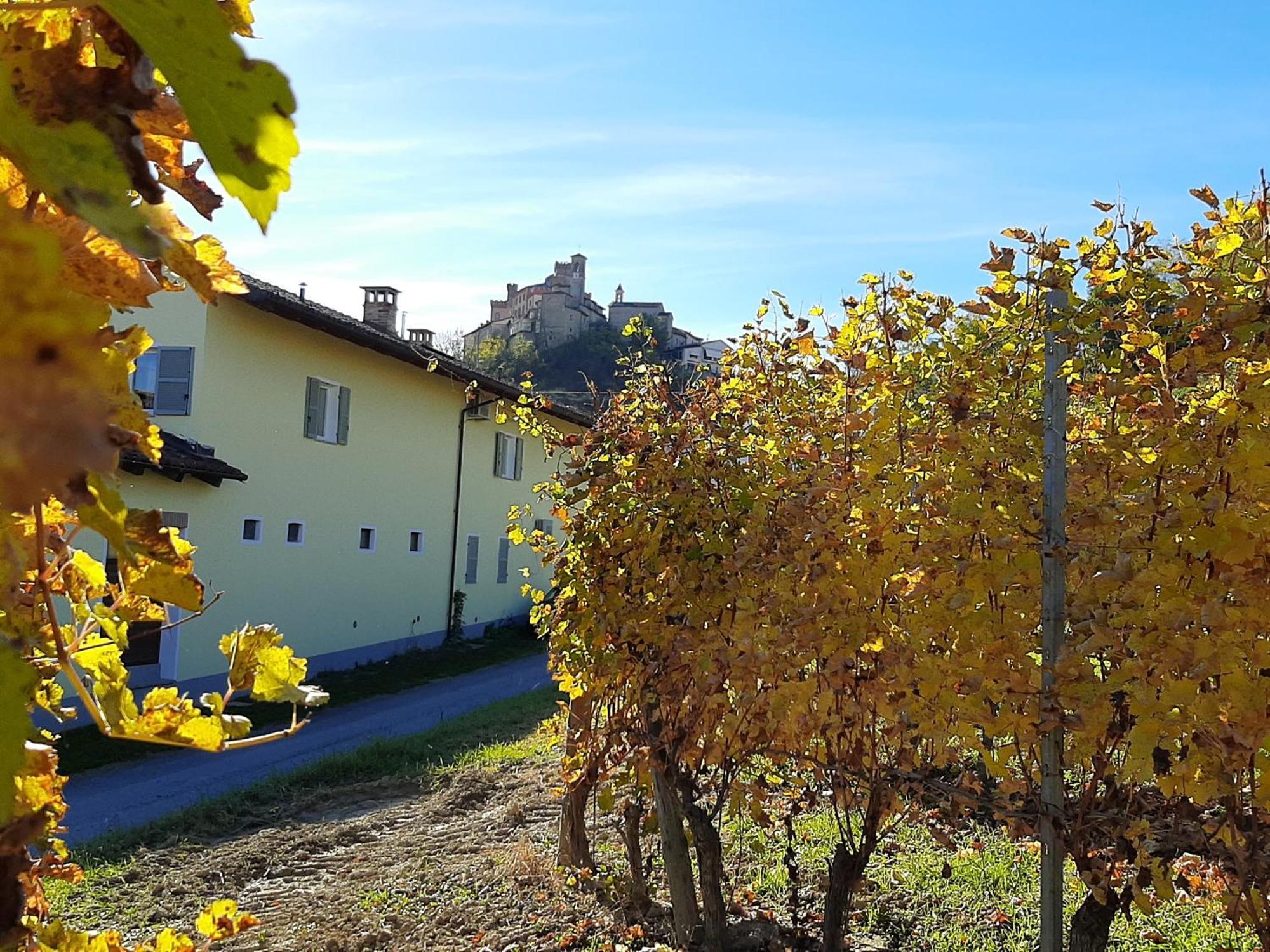 Ciabot Delle Aie - Barolo Apartment Exterior photo